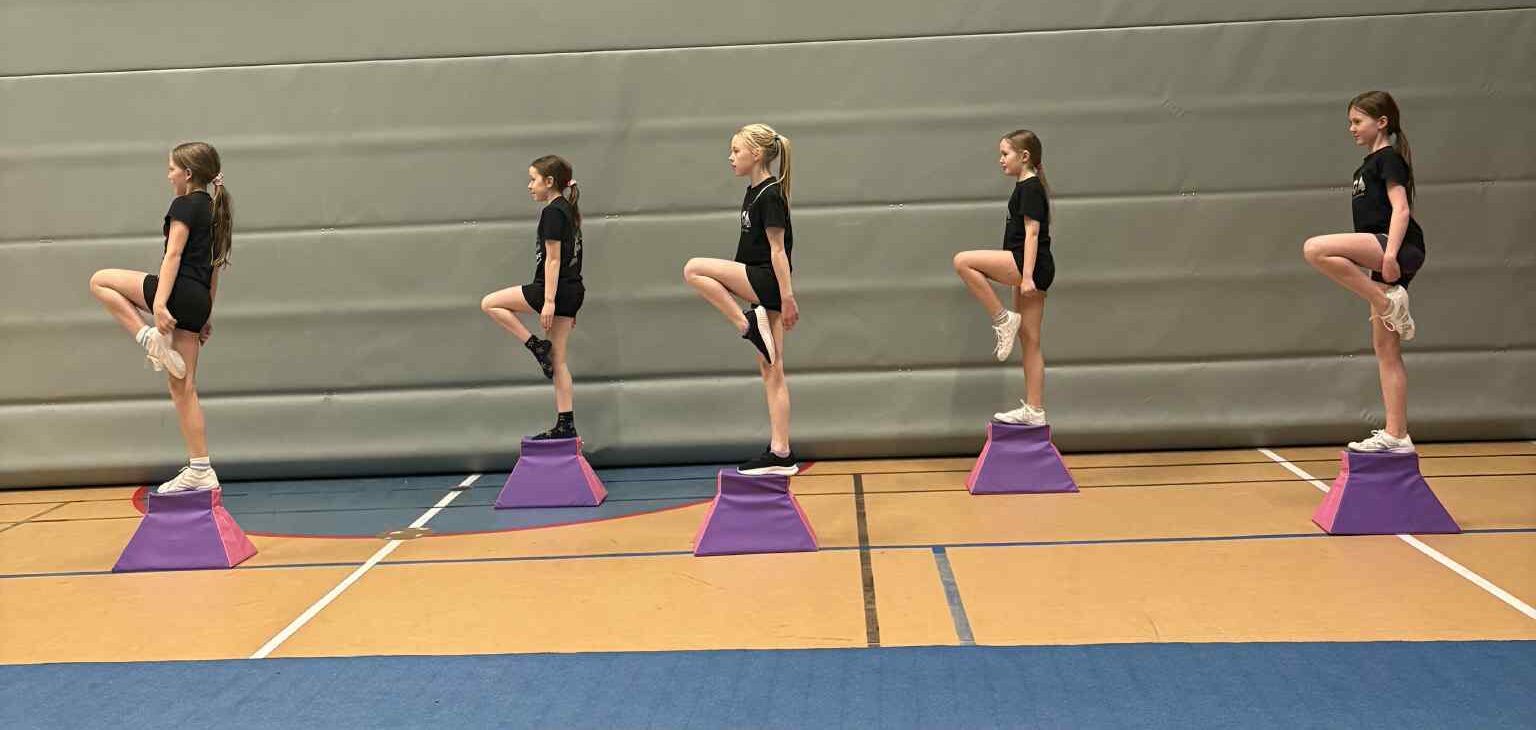 Stuntstand